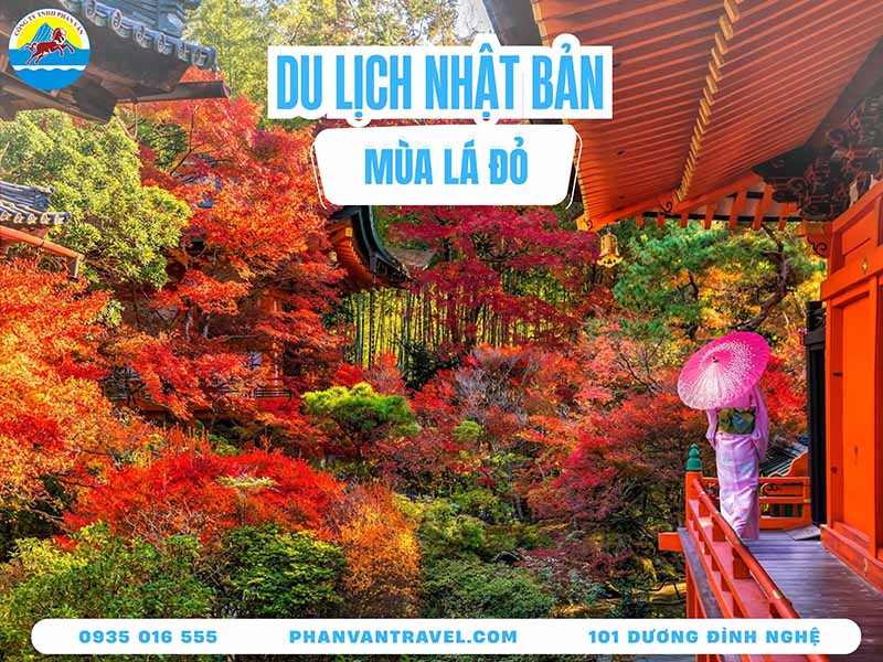 Du Lịch Mùa Lá Đỏ Nhật Bản: Cẩm Nang Trọn Vẹn Từ A Đến Z