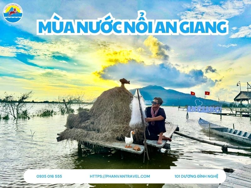 Du lịch Mùa Nước Nổi An Giang: Hướng Dẫn Chi Tiết từ A-Z Trọn Vẹn Nhất