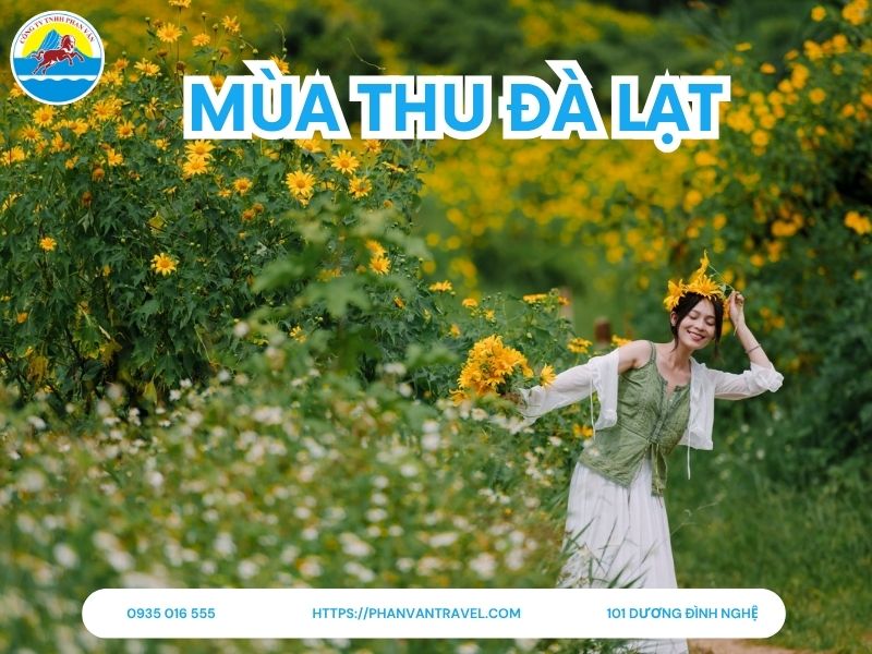 Mùa Thu Đà Lạt: Khi Phố Núi Thức Giấc Trong Làn Sương Mai Tình Tứ