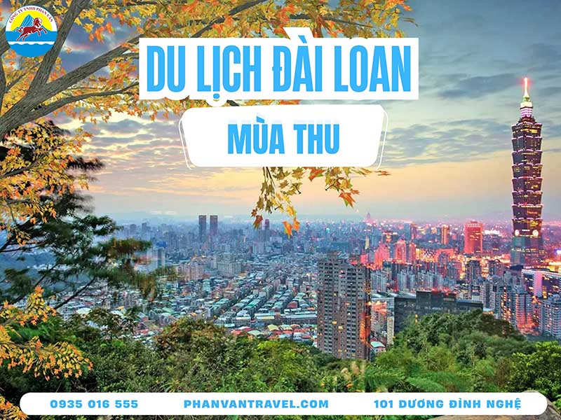 Du Lịch Mùa Thu Đài Loan: Khám Phá Thời Khắc Vàng Săn Lá Đỏ