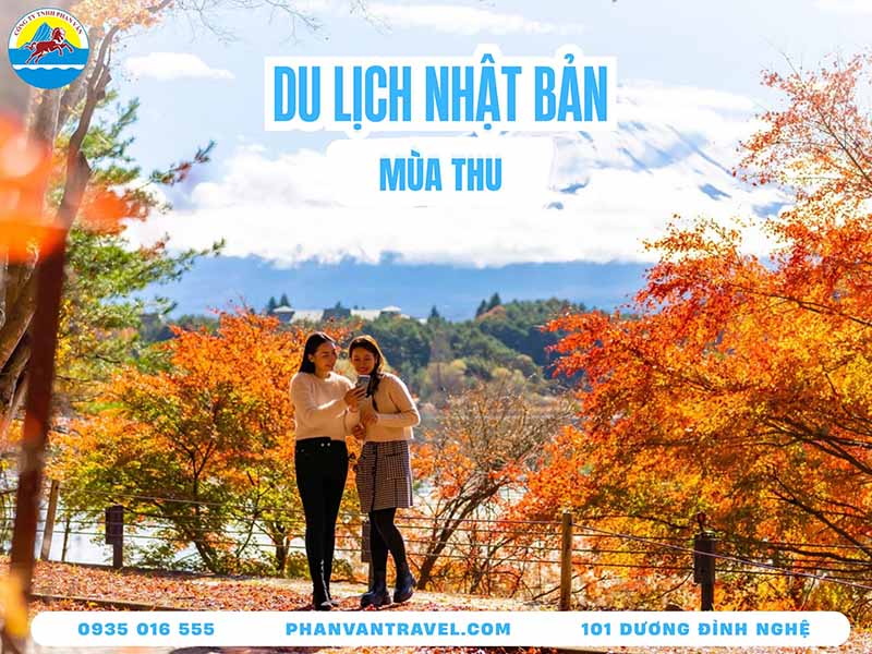 Du Lịch Mùa Thu Nhật Bản: Khám Phá Hành Trình Săn Lá Đỏ Toàn Diện Nhất