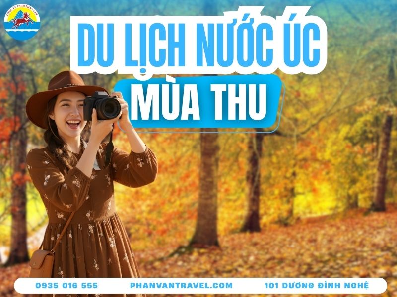 Du Lịch Mùa Thu Nước Úc - Trọn Bộ Bí Kíp Săn Ảnh Lá Vàng A-Z