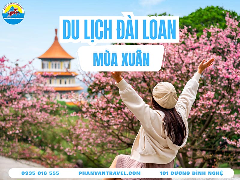 Du Lịch Mùa Xuân Đài Loan: Khám Phá Hoa Anh Đào Rực Rỡ