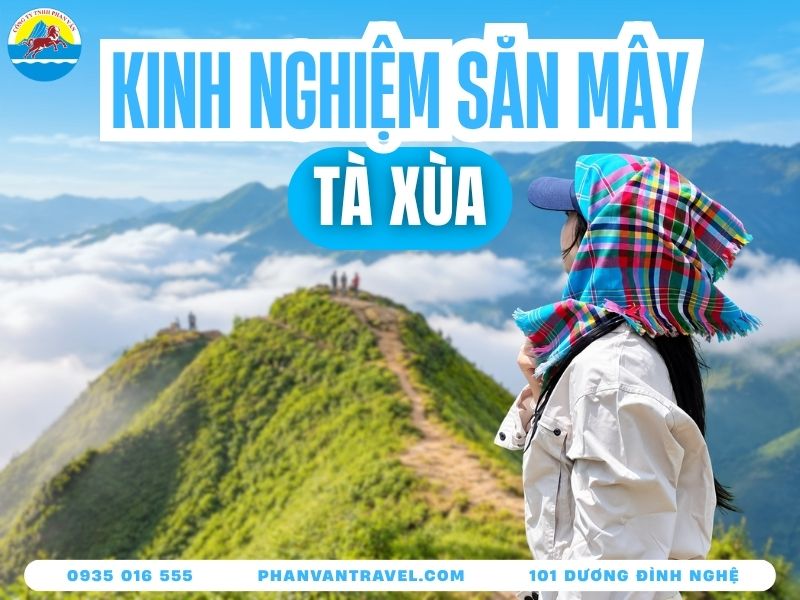 Kinh Nghiệm Săn Mây Tà Xùa 2026 Từ A-Z Cho Người Đi Lần Đầu