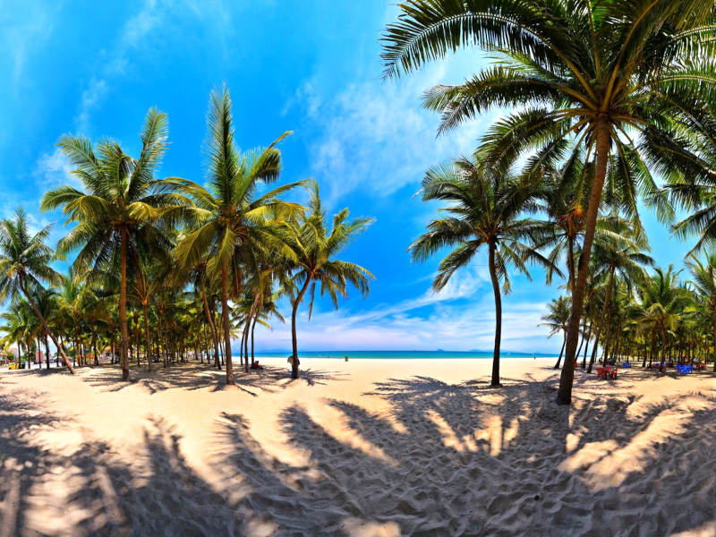 Săn Vé Tham Quan Giá Rẻ - Khám Phá Ngay Những Điểm Đến Hấp Dẫn