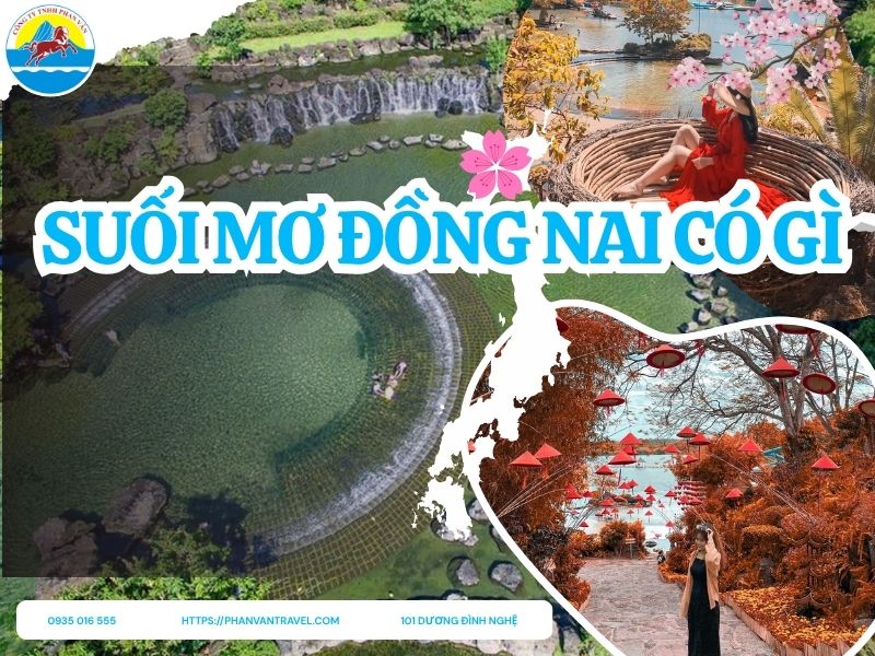 Khu Du Lịch Suối Mơ Đồng Nai Có Gì Hấp Dẫn? Cẩm Nang Trải Nghiệm 2025