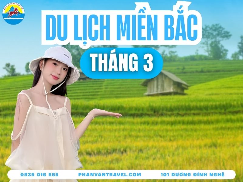 Tháng 3 Nên Đi Du Lịch Ở Đâu Miền Bắc? Gợi Ý 15 Điểm Đến Đẹp Nhất
