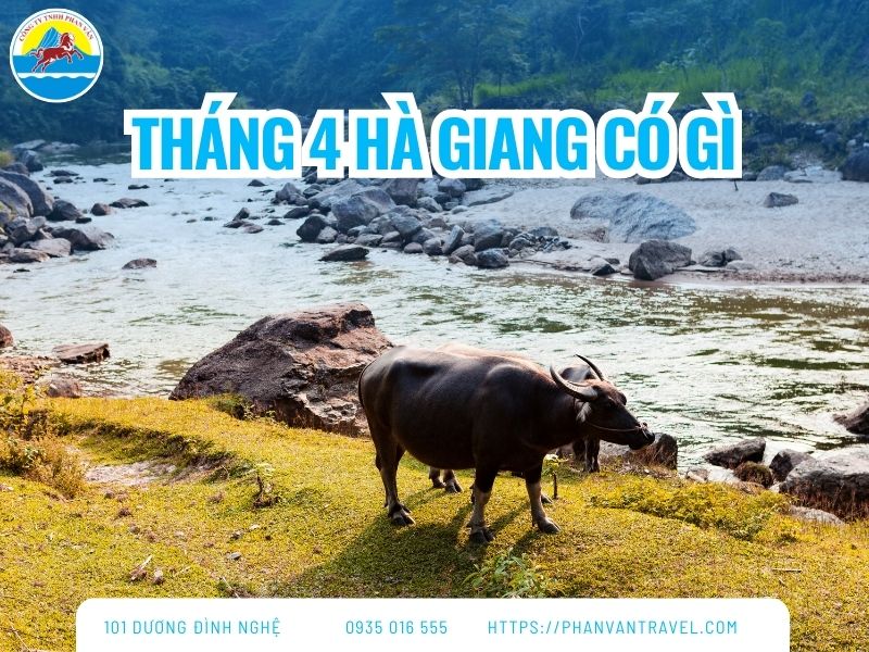 Tháng 4 Hà Giang Có Gì? Gợi Ý Điểm Đến Check-in Nổi Bật