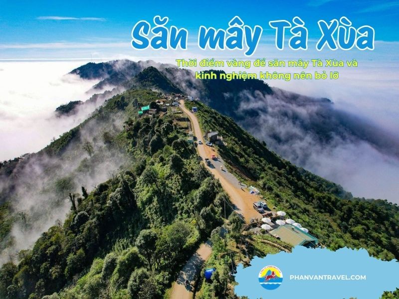 Thời điểm vàng để săn mây Tà Xùa và kinh nghiệm không nên bỏ lỡ