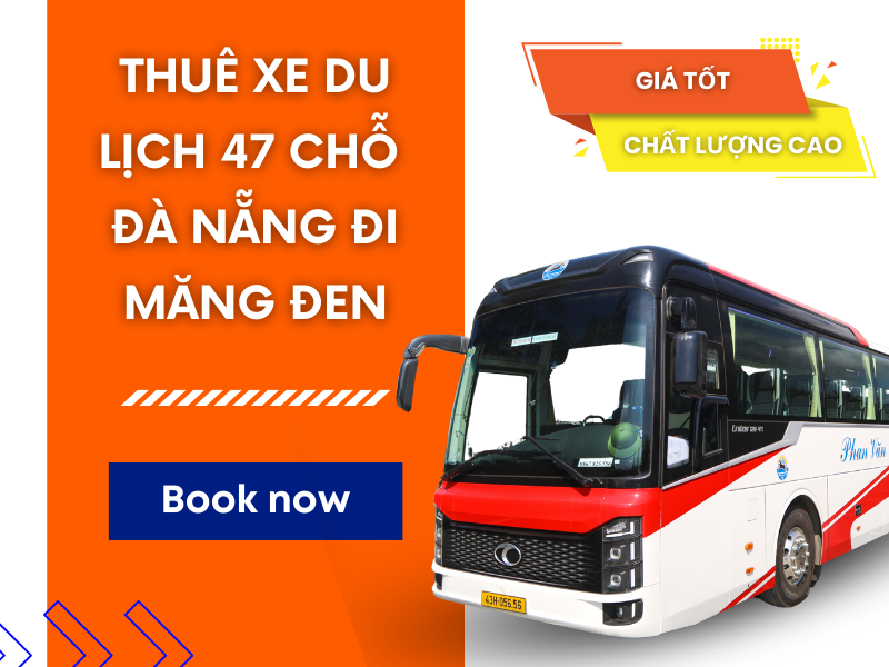 Thuê Xe Du Lịch 47 Chỗ Đà Nẵng Đi Măng Đen Giá Tốt, Chất Lượng Cao