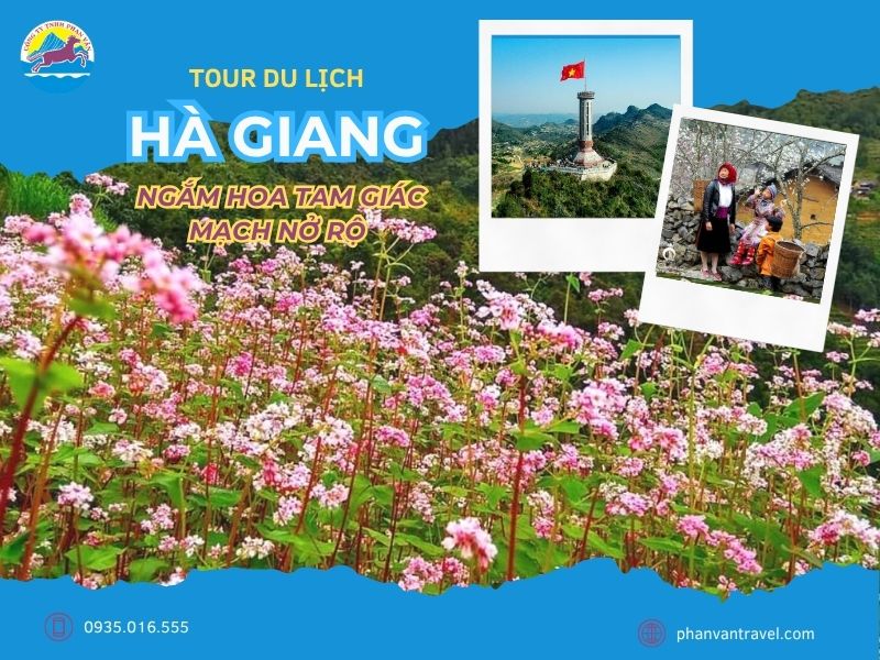 Tour du lịch Hà Giang tháng 8 – Ngắm hoa tam giác mạch nở rộ