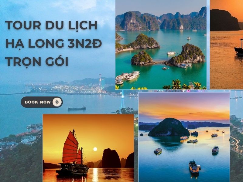 Tour Du Lịch Hạ Long 3N2Đ Trọn Gói: Khám Phá Vịnh Biển Tuyệt Đẹp