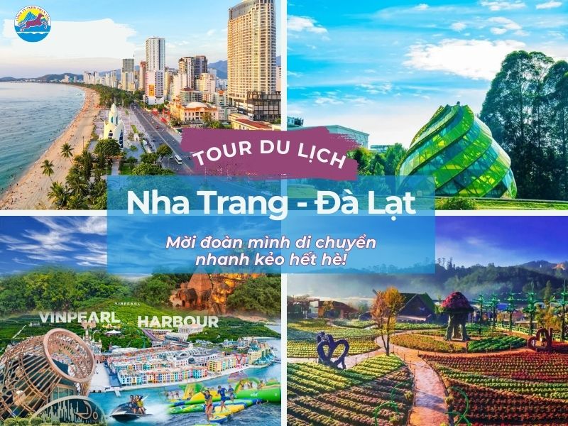 Tour du lịch Nha Trang Đà Lạt – Mời đoàn mình di chuyển nhanh kẻo hết hè!