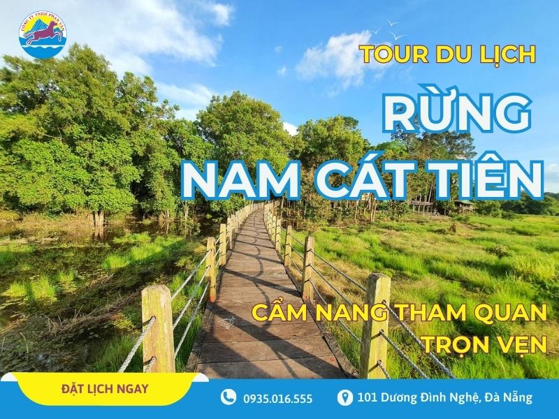 Tour du lịch rừng Nam Cát Tiên: Cẩm nang tham quan trọn vẹn