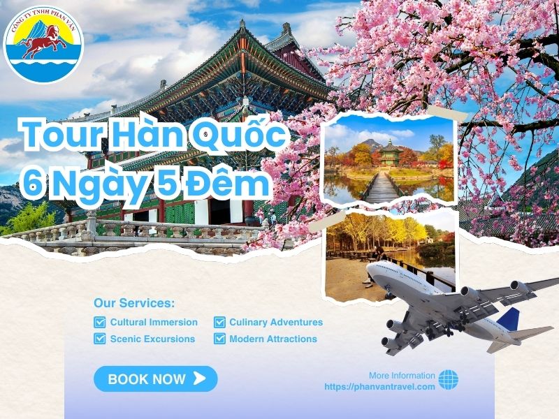 Tour Hàn Quốc 6 Ngày 5 Đêm từ Đà Nẵng: Giá Ưu Đãi, Khởi Hành Hàng Tháng