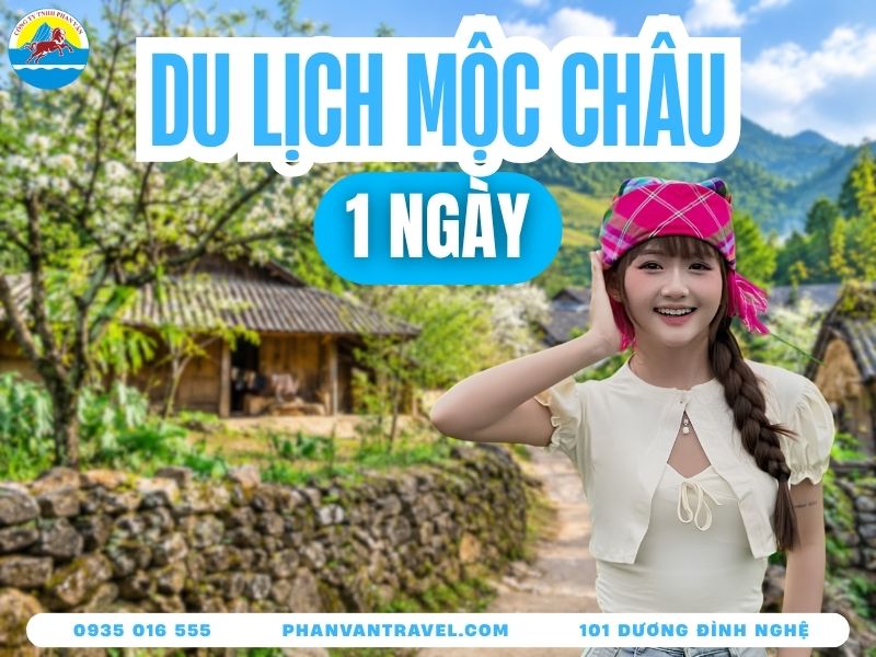 Tour Mộc Châu 1 Ngày 2026: Lịch Trình Chi Tiết Và Giá Tour Mới Nhất