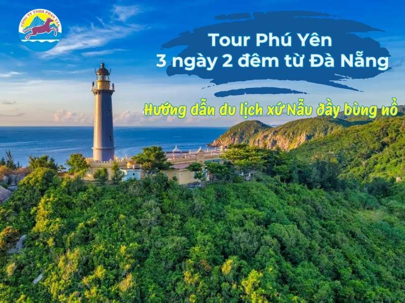 Tour Phú Yên 3 ngày 2 đêm từ Đà Nẵng: Hướng dẫn du lịch xứ Nẫu đầy bùng nổ