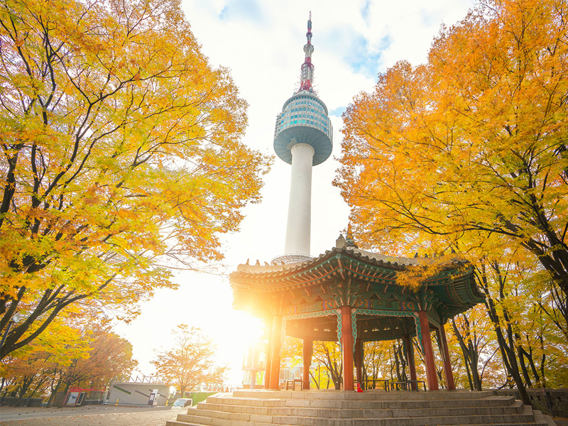 Chương Trình Tour Hàn Quốc Tháng 10 giá cực kỳ Ưu đãi