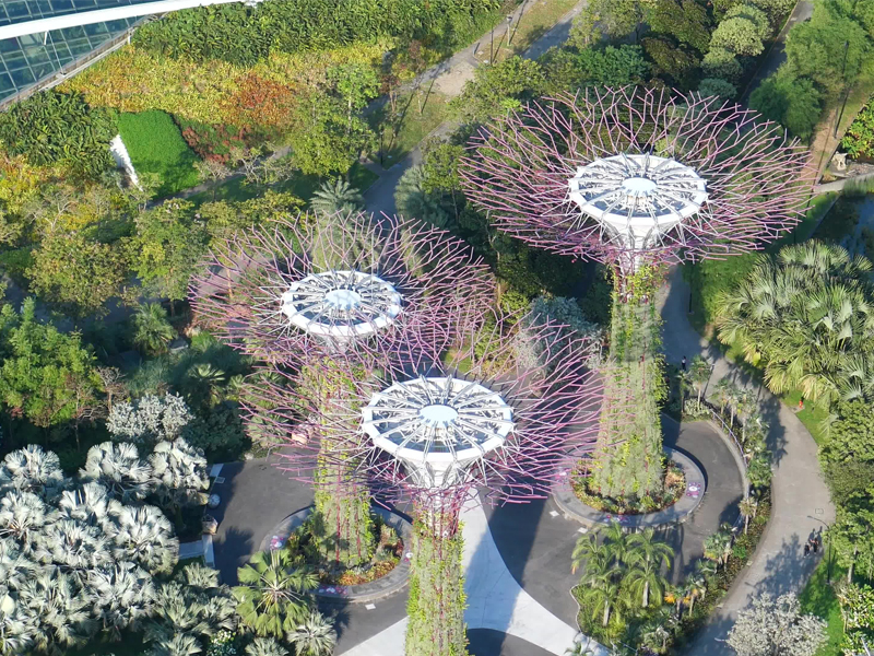 Những Lời Khuyên Hữu Ích Cho Chuyến Du Lịch Singapore