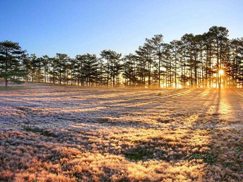 Đà Lạt – Thiên đường của những giấc mơ