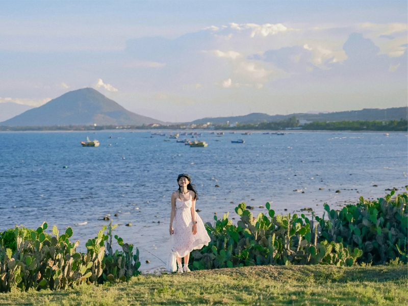 Du Lịch Phú Yên - Xứ Sở Hoa Vàng Trên Cỏ Xanh