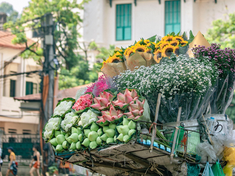 Trải Nghiệm Mùa Thu Hà Nội - Không Thể Bỏ Lỡ Trong Năm