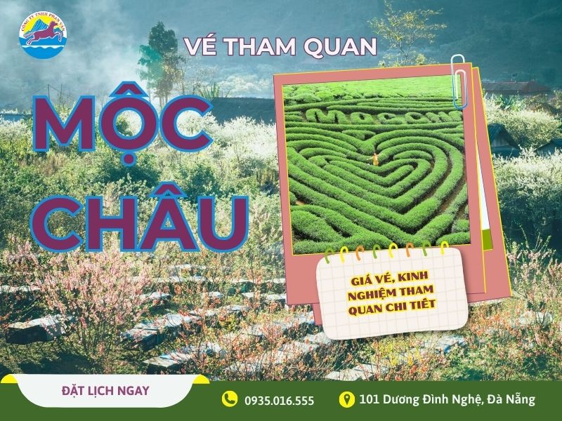 Vé tham quan Mộc Châu – giá vé, kinh nghiệm tham quan chi tiết