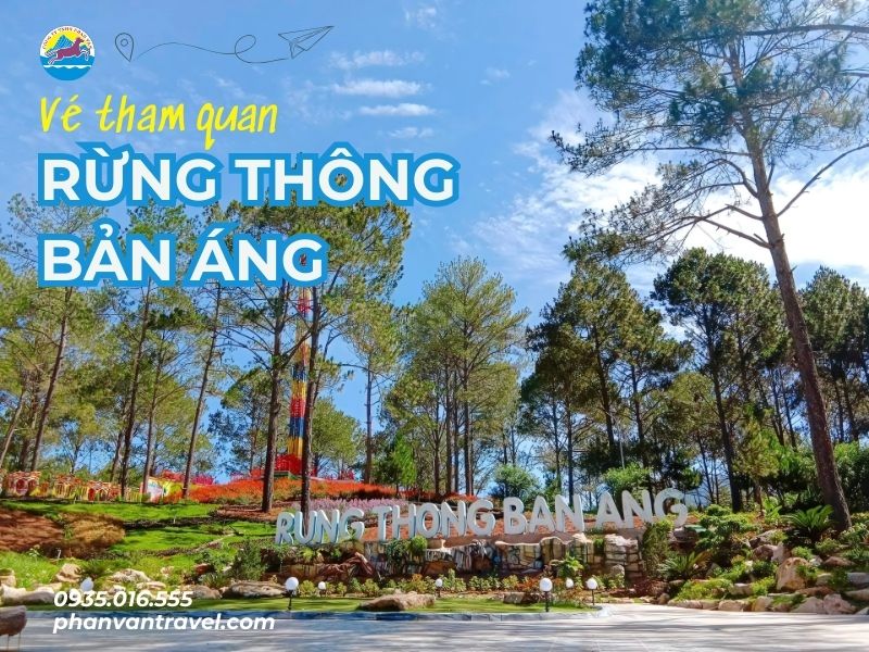 Vé tham quan rừng thông Bản Áng – Chạm vào Đà Lạt thu nhỏ giữa lòng Mộc Châu