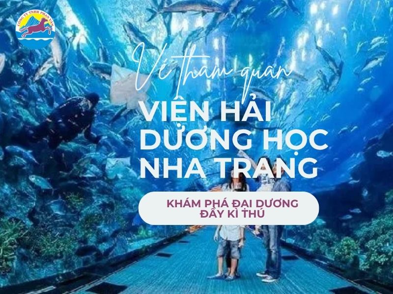 Vé Tham Quan Viện Hải Dương Học Nha Trang 2025: Khám Phá Đại Dương Đầy Kì Thú