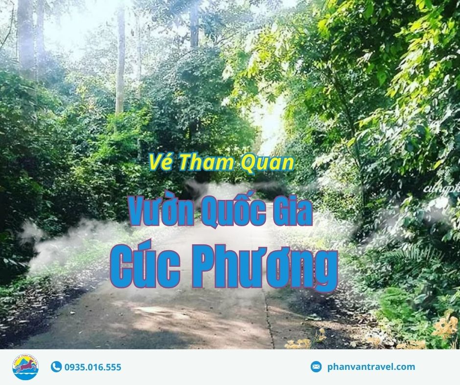 Vé tham quan vườn quốc gia Cúc Phương: điểm đến cho tín đồ du lịch trải nghiệm