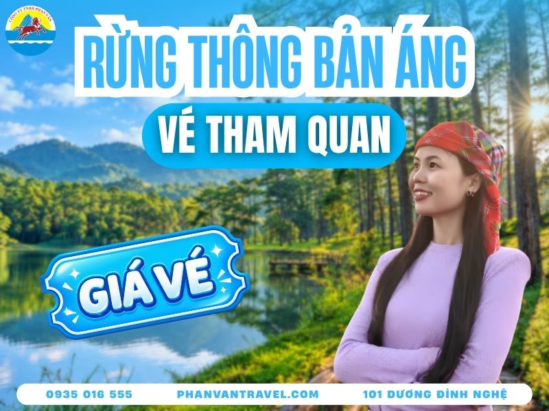 Vé Vào Rừng Thông Bản Áng 2026: Giá Vé Và Kinh Nghiệm Từ A-Z