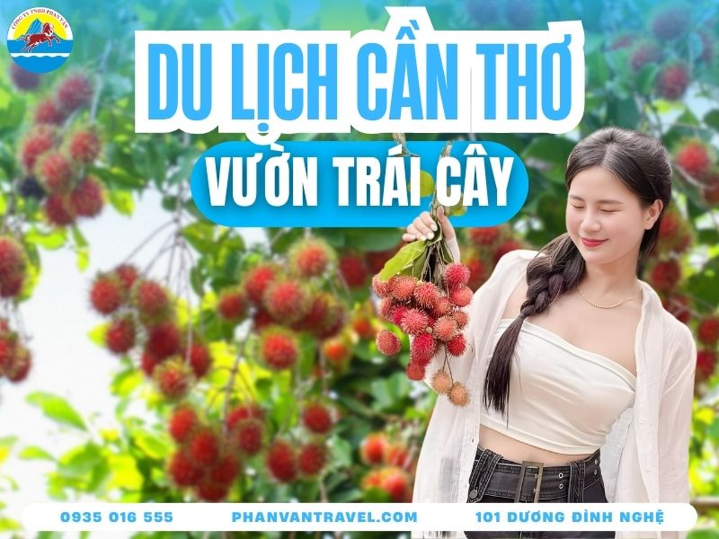 Top 15 Vườn Trái Cây Cần Thơ Đẹp Nhất: Giá Vé & Lịch Mùa Vụ