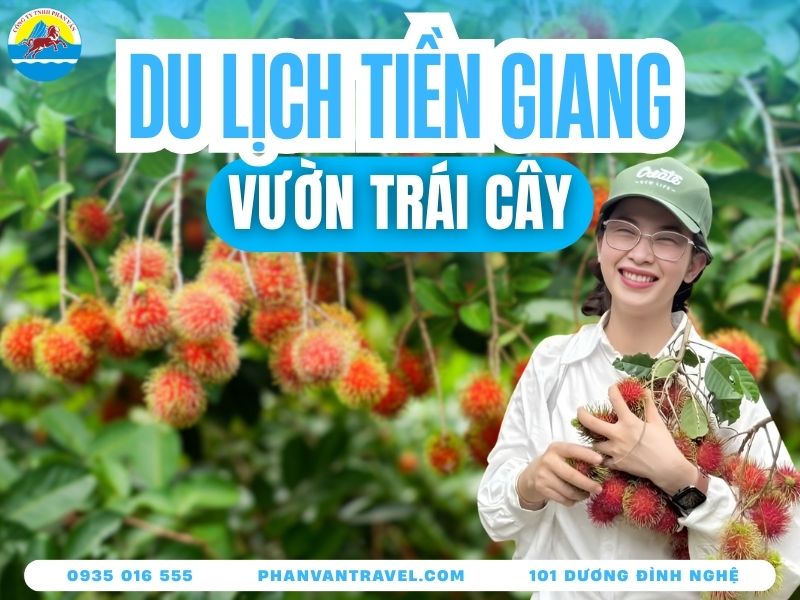 Tổng Hợp Danh Sách 10 Vườn Trái Cây Tiền Giang Chín Rộ Đẹp Nhất