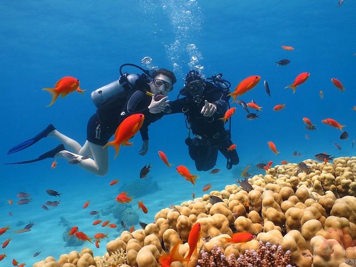 Lặn ngắm san hô ở Nha Trang