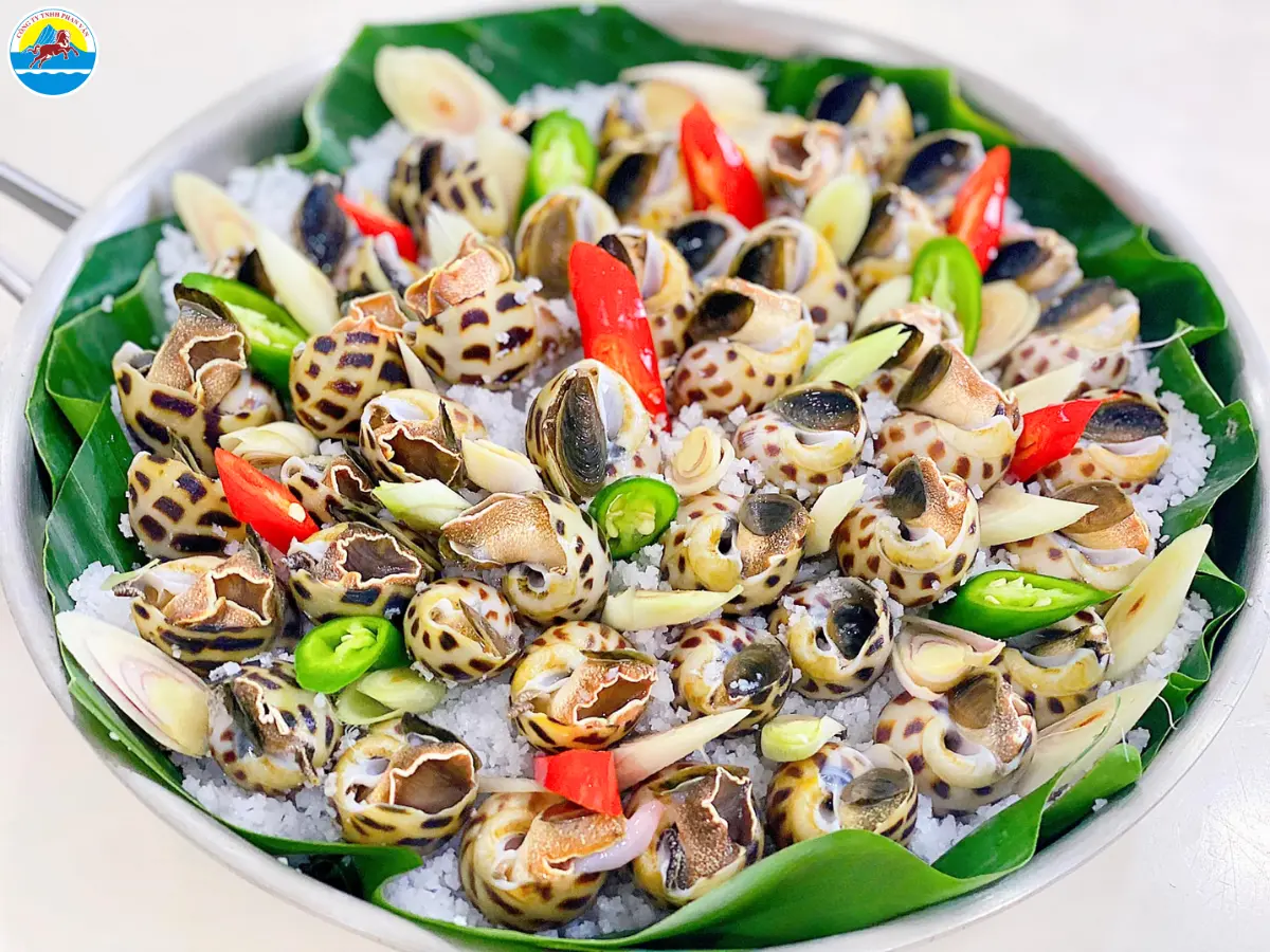 du lịch biển trà vinh​