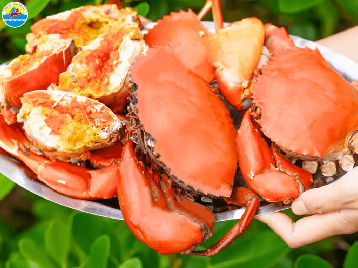 du lịch biển trà vinh