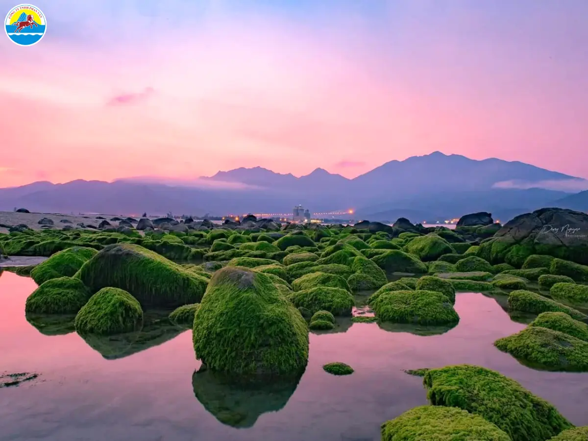 bãi biển đà nẵng