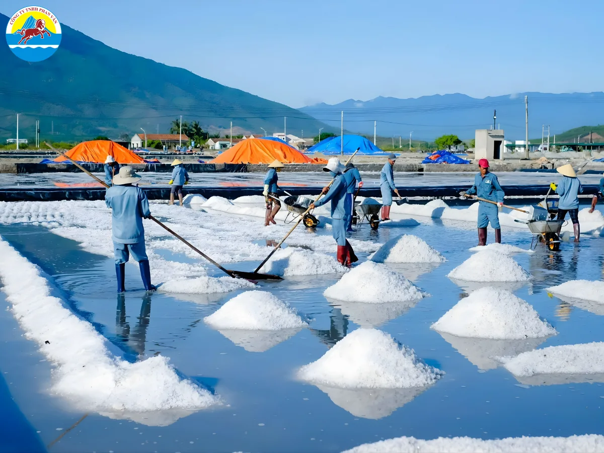 Cánh đồng muối diêm dân