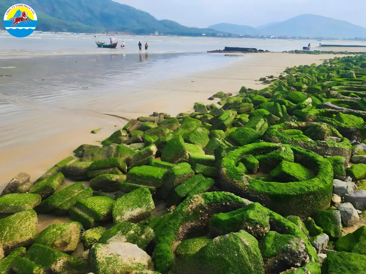 bãi biển Thiên Cầm Hà Tĩnh