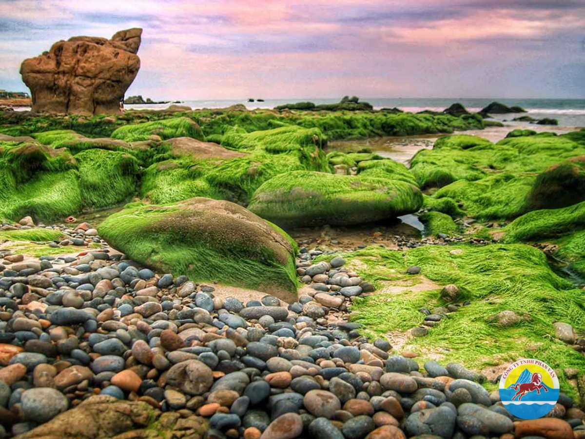 Bãi đá Cổ Thạch Phan Thiết