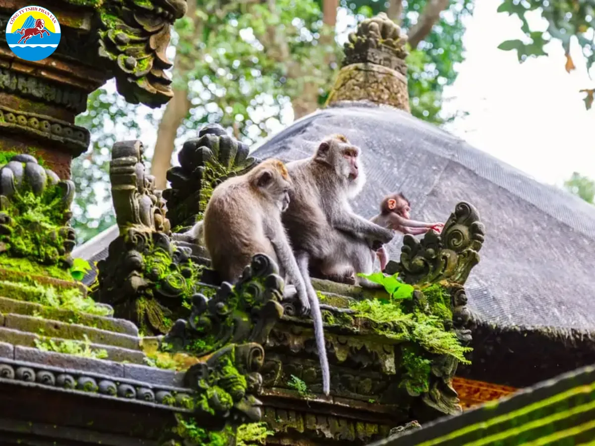 Rừng Khỉ Ubud (Ubud Monkey Forest)