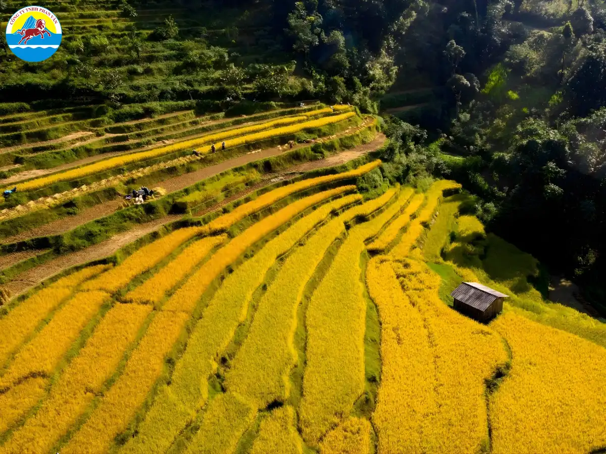 Bảo Lạc Cao Bằng có gì​