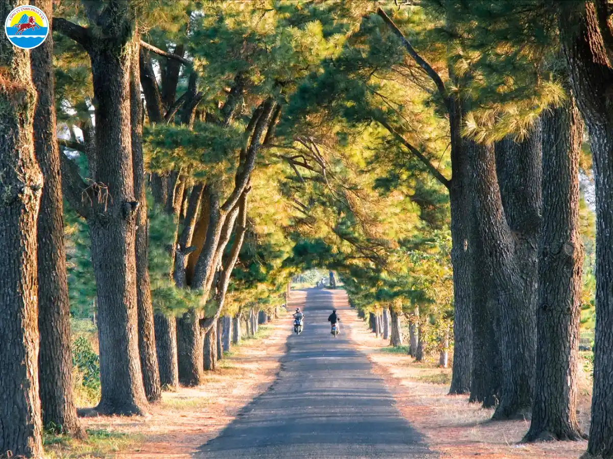 khu du lịch biển hồ gia lai