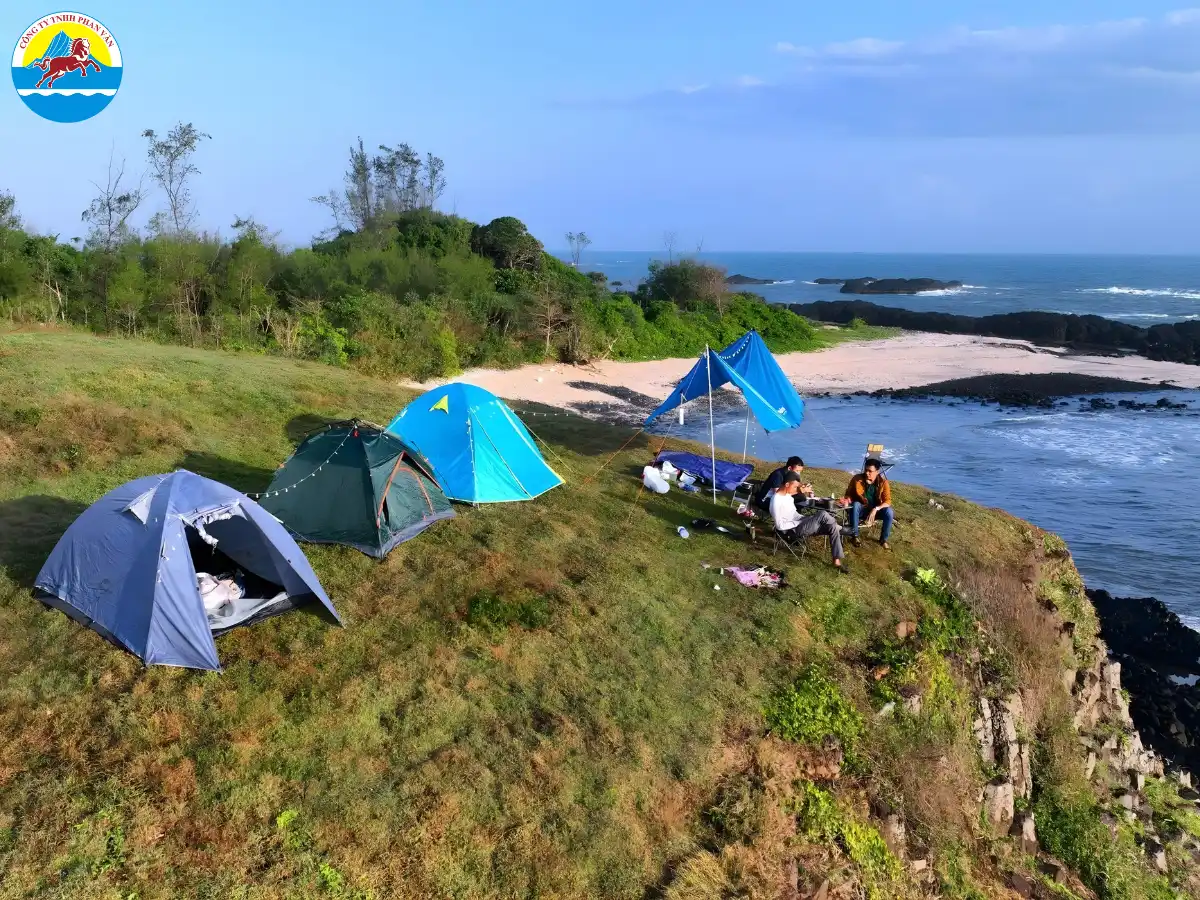 Cắm trại qua đêm bên rừng dương