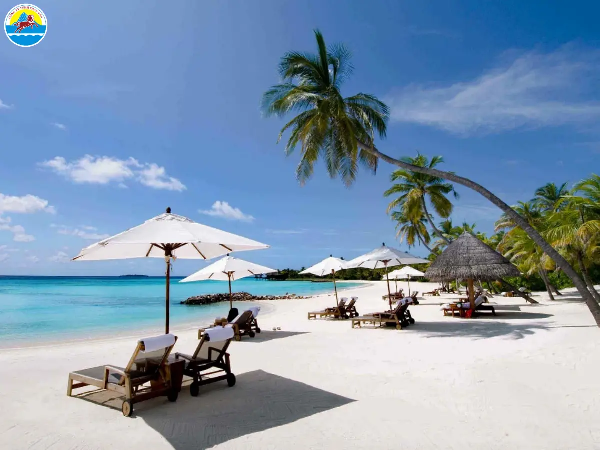 bãi biển nha trang về đêm​