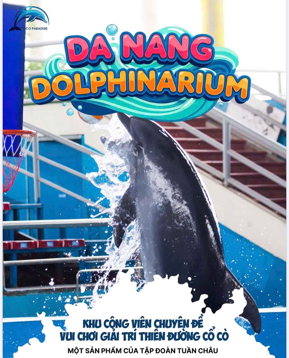 Da Nang Dolphinarium chính thức khai trương từ tháng 9/2025