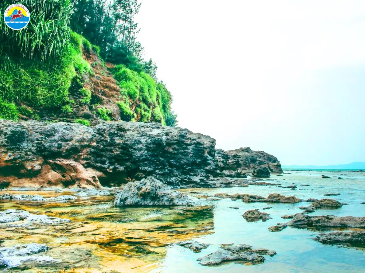 bình sơn quảng ngãi có gì chơi