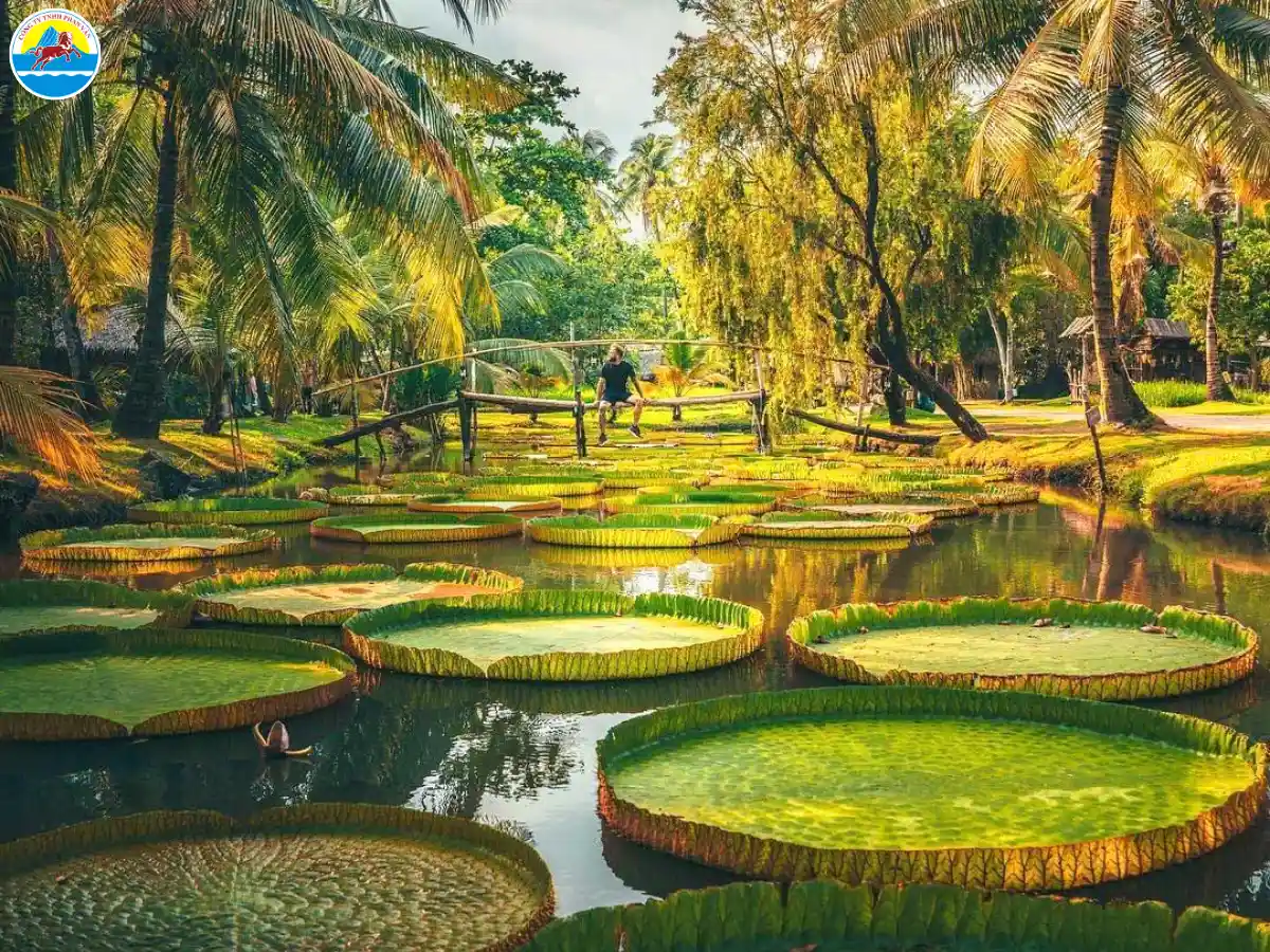 bình thạnh có gì đẹp​