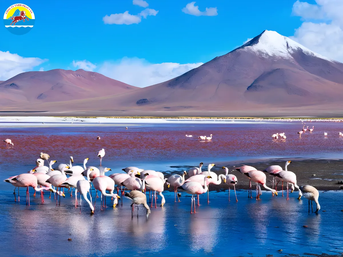 Bolivia là điểm đến đặc biệt tại Nam Mỹ