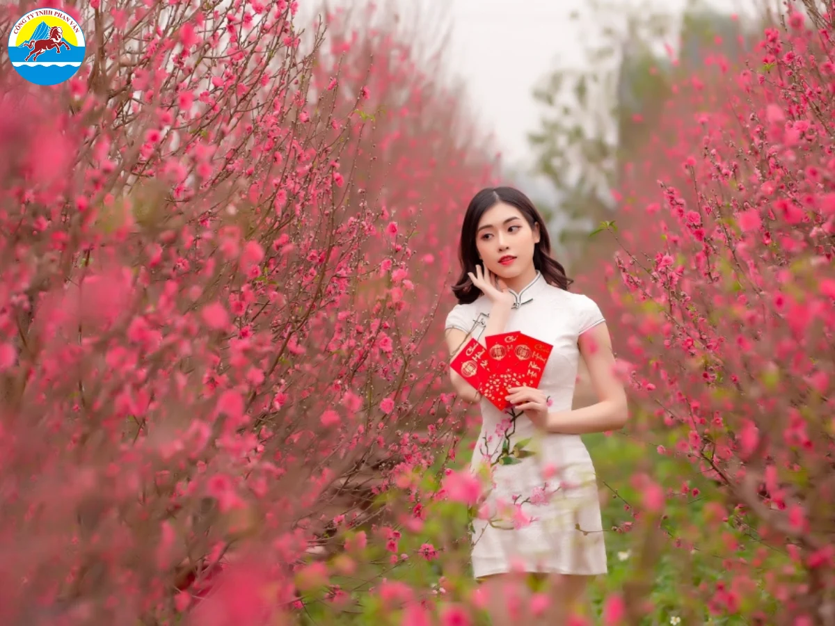 Vườn đào Nhật Tân